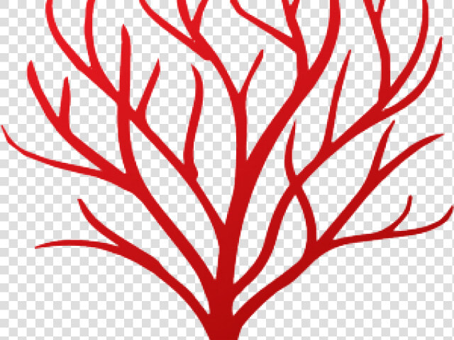 Coral Clipart Red Coral  HD Png DownloadTransparent PNG