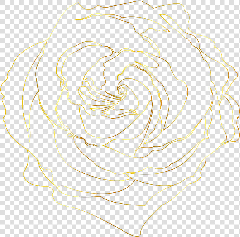  gold  golden  goldroses  goldrose  goldenroses  goldenrose   Floribunda  HD Png DownloadTransparent PNG