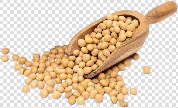 Chickpea   Soya Seeds  HD Png DownloadTransparent PNG