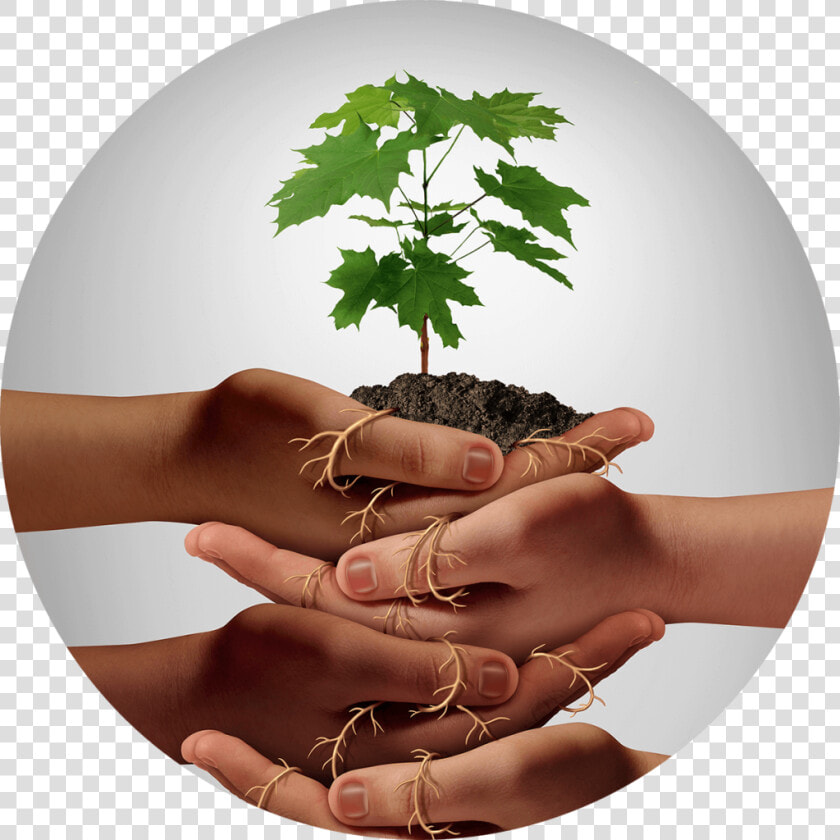 Nurturing Clipart  HD Png DownloadTransparent PNG