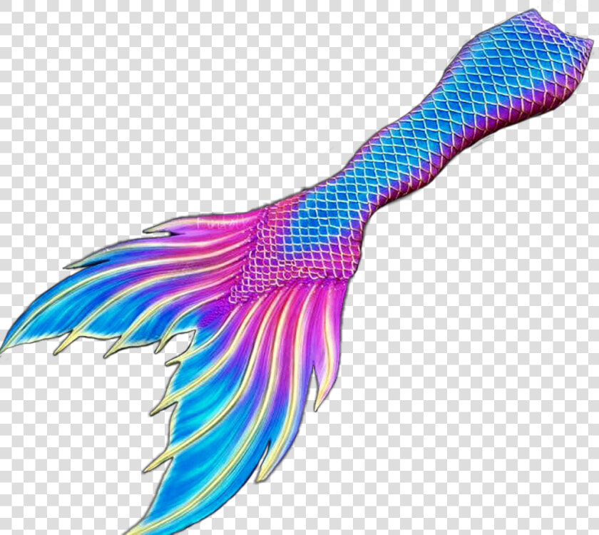  mermaid  mermaids  tail  fin  tails  fins  fantasy   Illustration  HD Png DownloadTransparent PNG