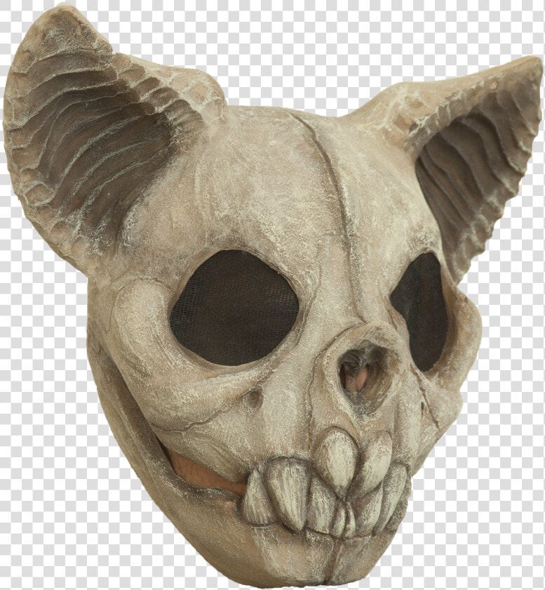 Mascaras De Cráneo De Animales  HD Png DownloadTransparent PNG