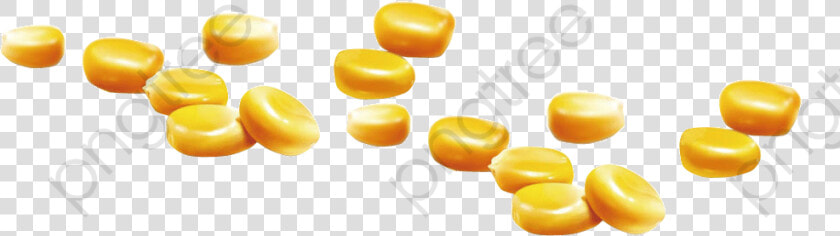 Corn Clipart Corn Seed   Corn Seed Png  Transparent PngTransparent PNG