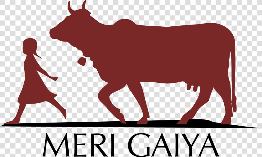 Bull Clipart Gir Cow   Desi Cow Clipart  HD Png DownloadTransparent PNG