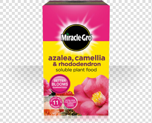 Miracle Gro Azalea Camellia And Rhododendron  HD Png DownloadTransparent PNG