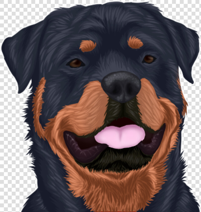 Rottweiler  HD Png DownloadTransparent PNG