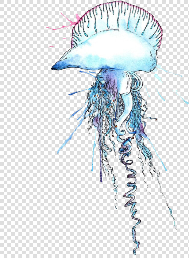 Blue Bottle Jellyfish Png File   Portuguese Man Of War Png  Transparent PngTransparent PNG