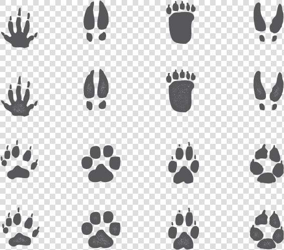 Animal Footprints Png  Transparent PngTransparent PNG