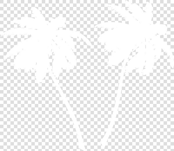 White Palm Tree Png   Palm Tree Clip Art White  Transparent PngTransparent PNG