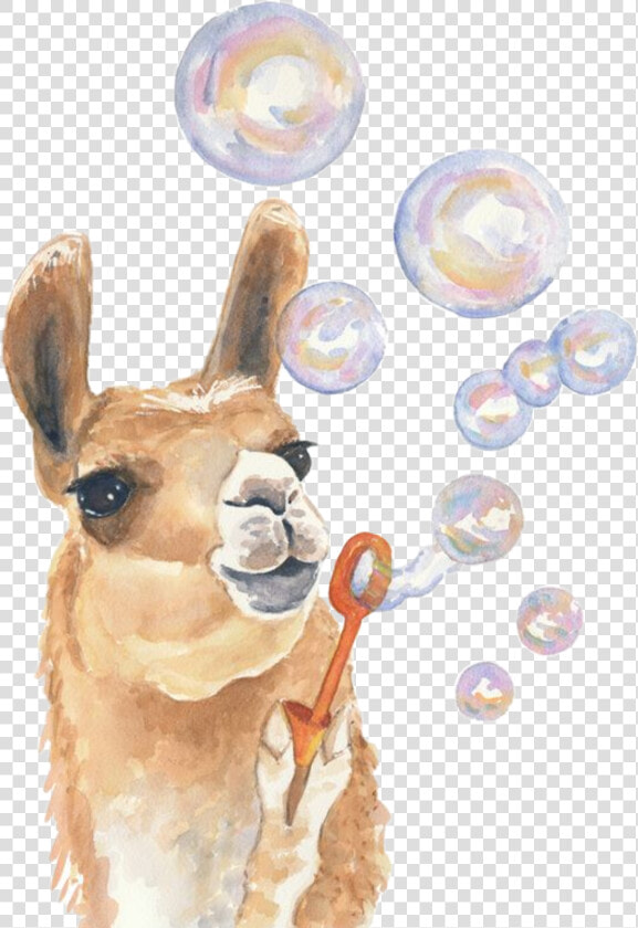  watercolor  alpaca  llama  bubbles  blowing  babyanimals   Llama Painting  HD Png DownloadTransparent PNG