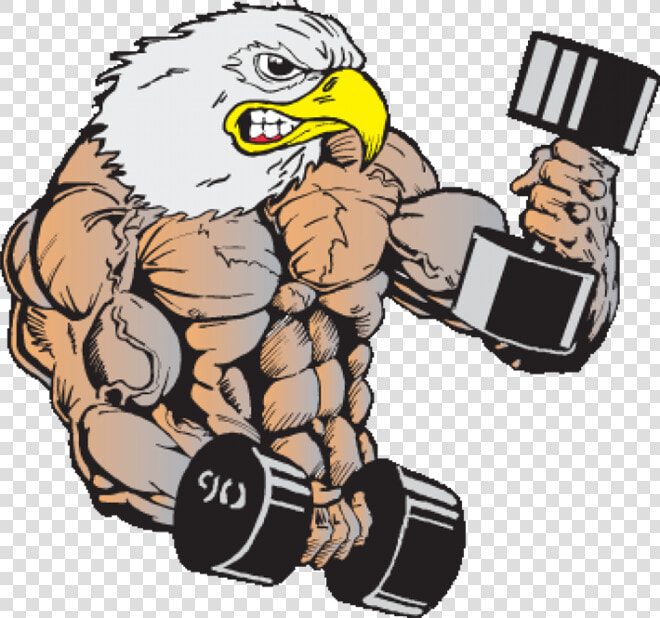 Muscle Eagle Png   Body Builder Eagle Cartoon  Transparent PngTransparent PNG