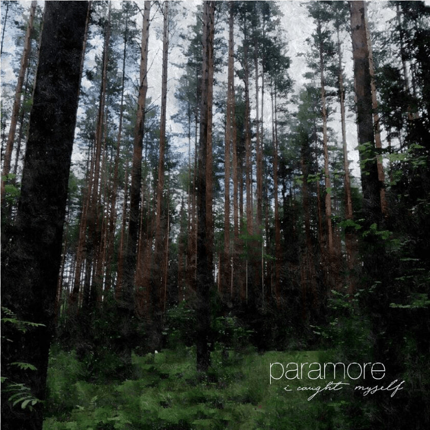 Spruce fir Forest  HD Png DownloadTransparent PNG