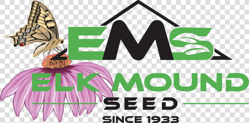 Elk Mound Wildflowers  HD Png DownloadTransparent PNG