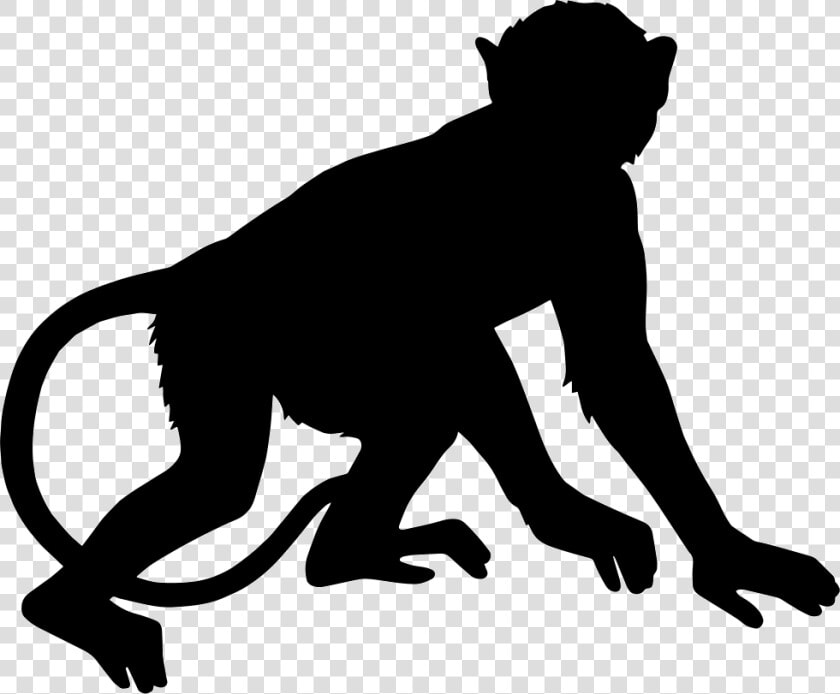 Monkey   Mono Silueta Png  Transparent PngTransparent PNG