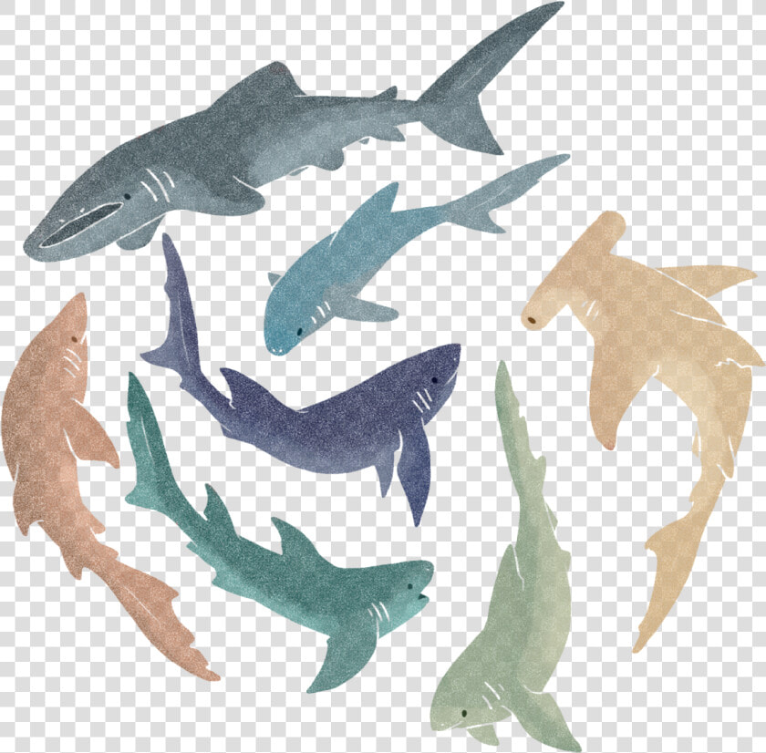 Cute Shark Png   Aesthetic Cute Shark Backgrounds  Transparent PngTransparent PNG