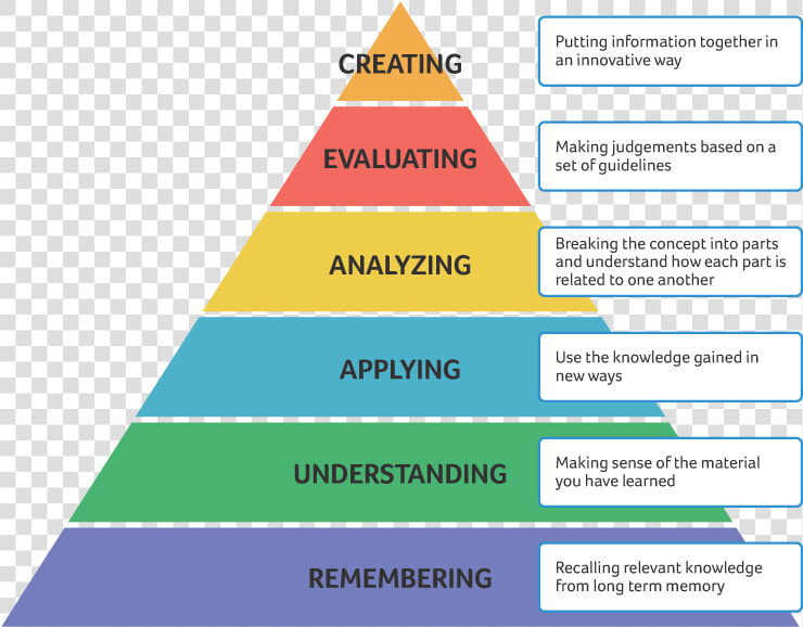 Bloom  39 s Taxonomy  HD Png DownloadTransparent PNG