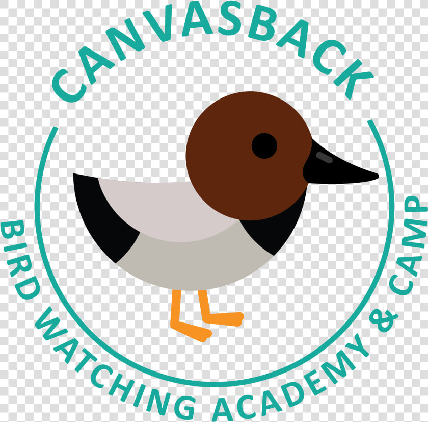 Canvasback Picture   Oil  amp  Gas Uk  HD Png DownloadTransparent PNG