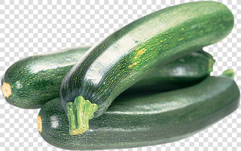 Download Zucchini Transparent Png   Zucchini Png  Png DownloadTransparent PNG