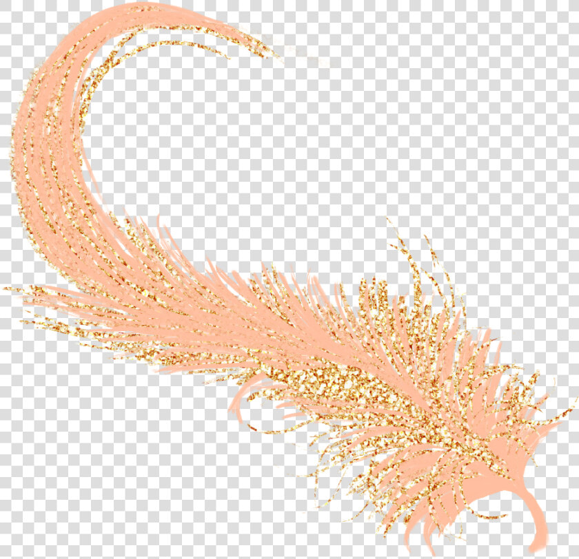  feathers  feather  pastel  golden  gold  rosegold   Feather Pastel Png  Transparent PngTransparent PNG