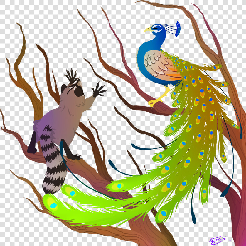 Peacock And Raccoon   Raccoon Peacock  HD Png DownloadTransparent PNG