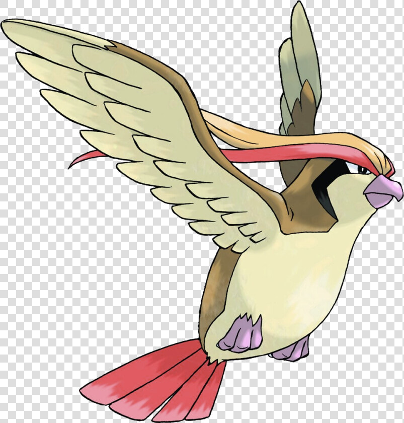 018pidgeot   Pokemon Pidgeot Png  Transparent PngTransparent PNG