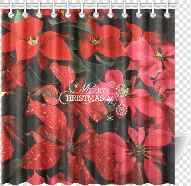 Poinsettia  Merry Christmas Shower Curtain 69 X70  HD Png DownloadTransparent PNG