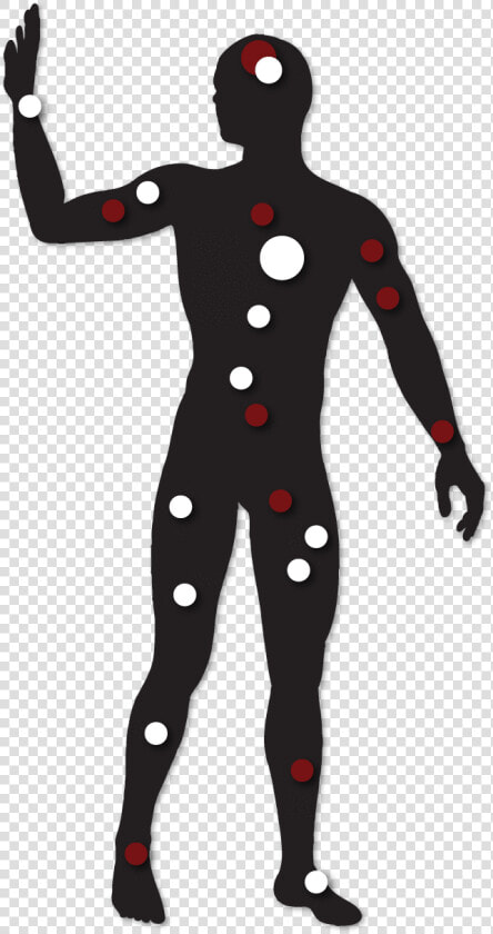 Person With Markings Of Endocannabinoid Receptors In  HD Png DownloadTransparent PNG