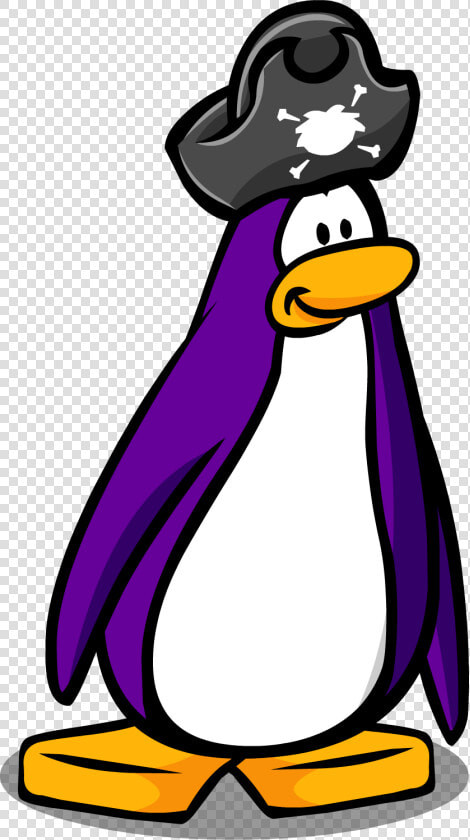 Club Penguin Wiki   Pirate Hat Club Penguin Item  HD Png DownloadTransparent PNG