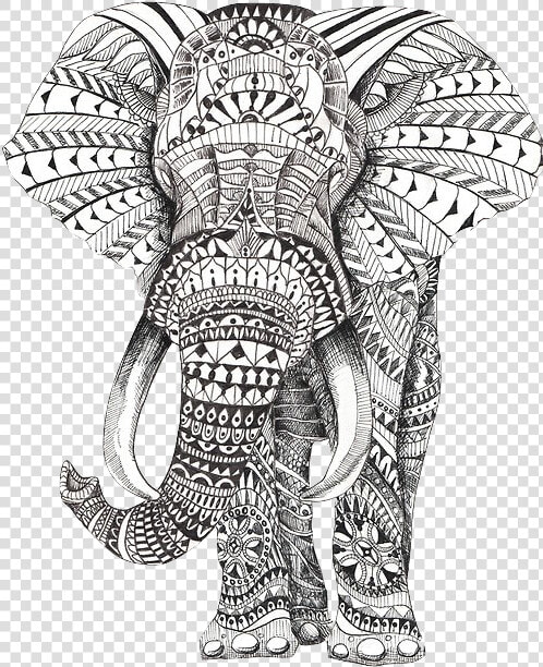 Mandala Éléphant A Imprimer  HD Png DownloadTransparent PNG