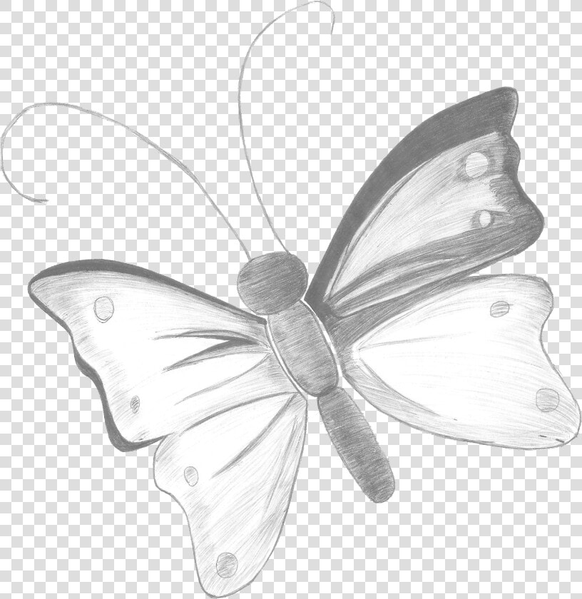 Transparent Lapiz Png   Brush footed Butterfly  Png DownloadTransparent PNG