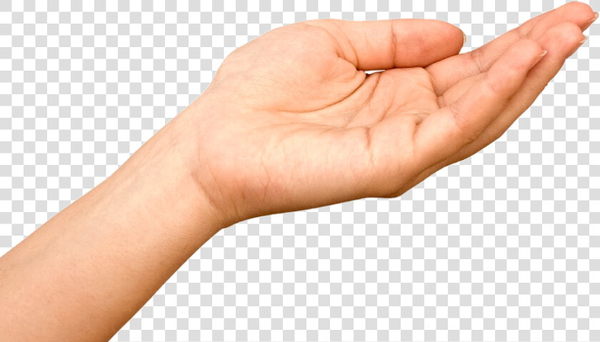 Hand Receiving   Png Download   Hand Receiving Transparent Background  Png DownloadTransparent PNG