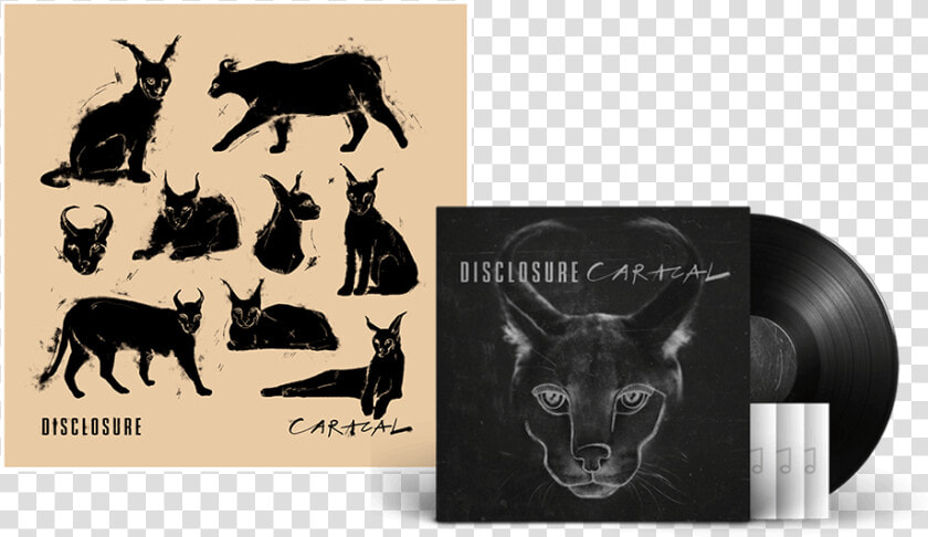 Disclosure Caracal Full Album Download  HD Png DownloadTransparent PNG