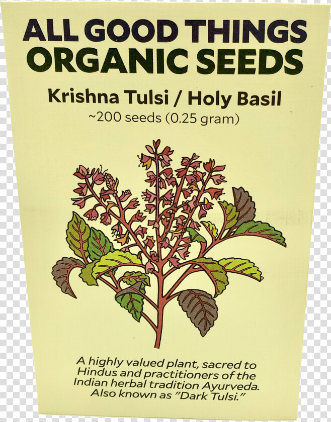 Tulsi   Holy Basil  HD Png DownloadTransparent PNG