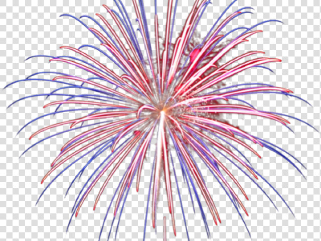 Transparent Fireworks Png Images   Transparent Background Fireworks Gif  Png DownloadTransparent PNG