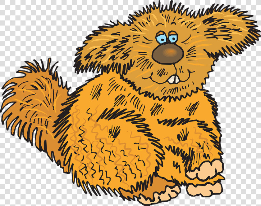 Hair  Animal  Creature  Fuzzy  Fur  HD Png DownloadTransparent PNG