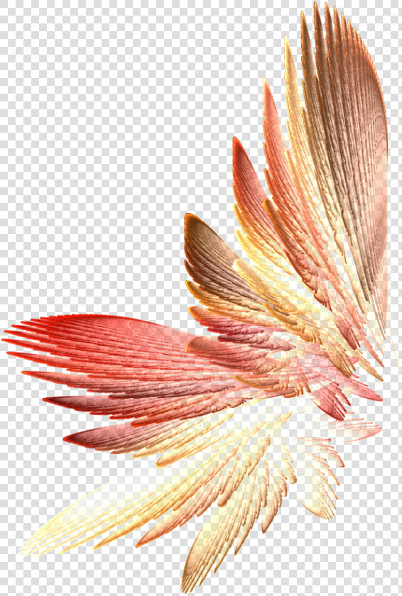 Tinkerbell Wings Png Download   Fall Fairy Wings Png  Transparent PngTransparent PNG