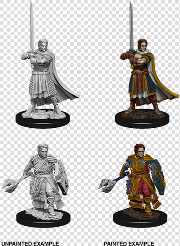 Male Human Fighter Miniature  HD Png DownloadTransparent PNG