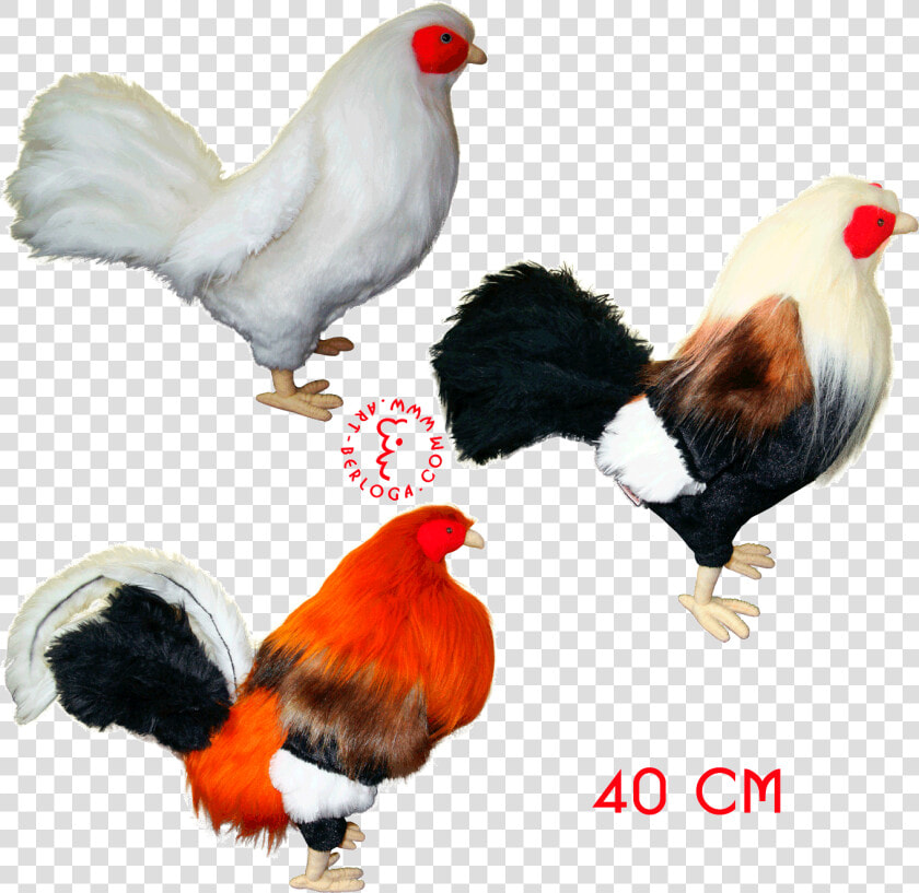 Clip Art Exclusive Tailoring Of Roosters   Rooster Fighting Toys  HD Png DownloadTransparent PNG