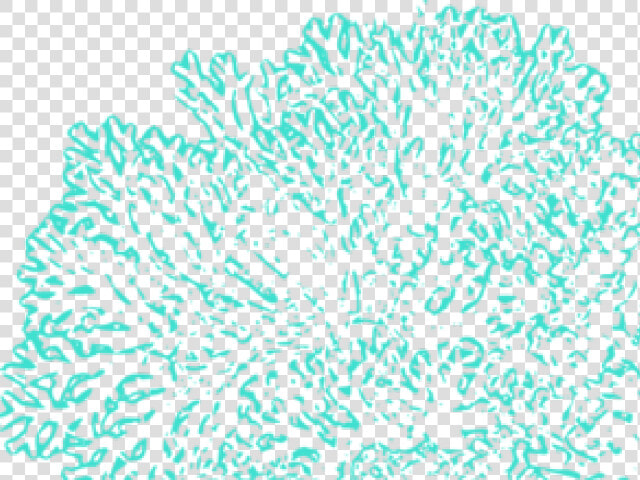 Coral Reef Clipart Outline   Transparent Coral Reef Clipart  HD Png DownloadTransparent PNG