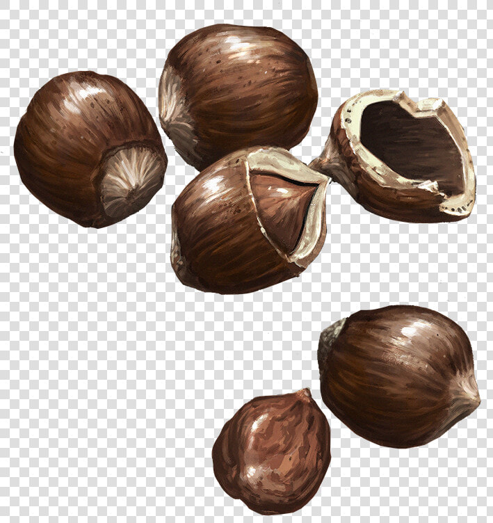 Hazelnuts   Chocolate  HD Png DownloadTransparent PNG