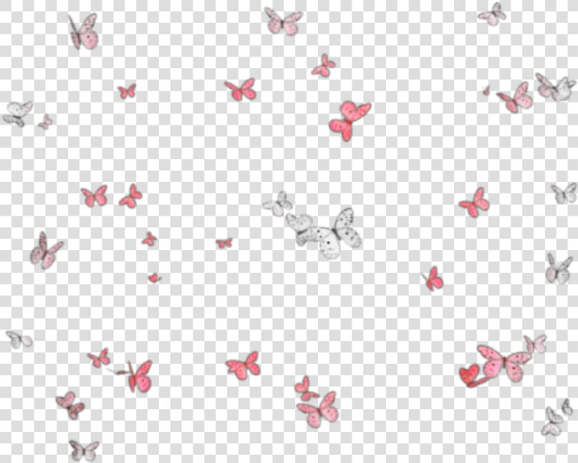  butterflies  mariposas  mariposa  butterfly  group   Love Unicorn  HD Png DownloadTransparent PNG