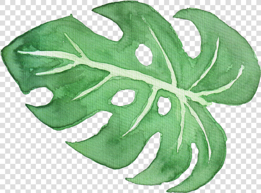 White Watercolor Png  tropical Leaf Watercolor Png   Watercolour Palm Leaves Png  Transparent PngTransparent PNG