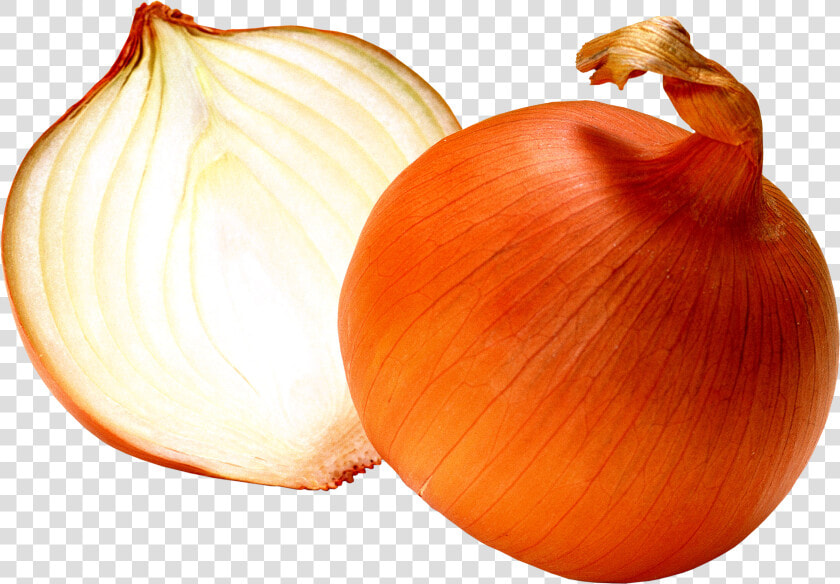 Transparent Red Onion Clipart   Onion Png  Png DownloadTransparent PNG