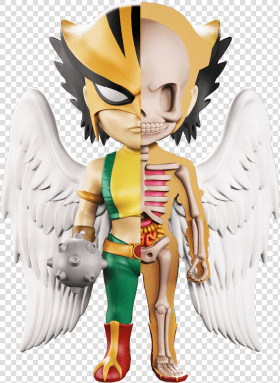 Xxray Hawkgirl  HD Png DownloadTransparent PNG