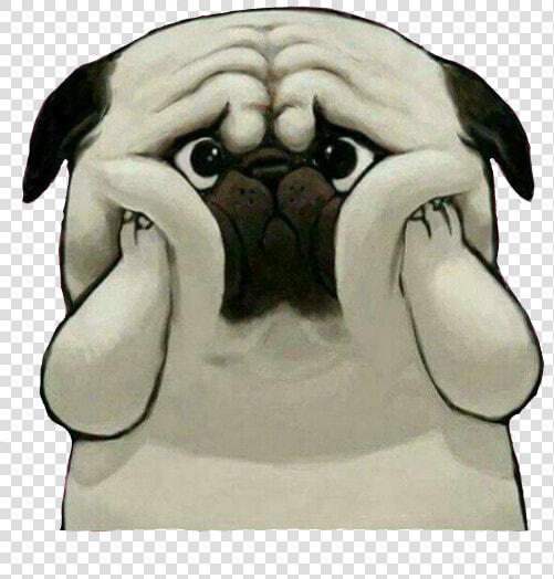  pug  pugs  dog  perro  triste  pets  amp  Animals  puppy   Sad Dog Png  Transparent PngTransparent PNG