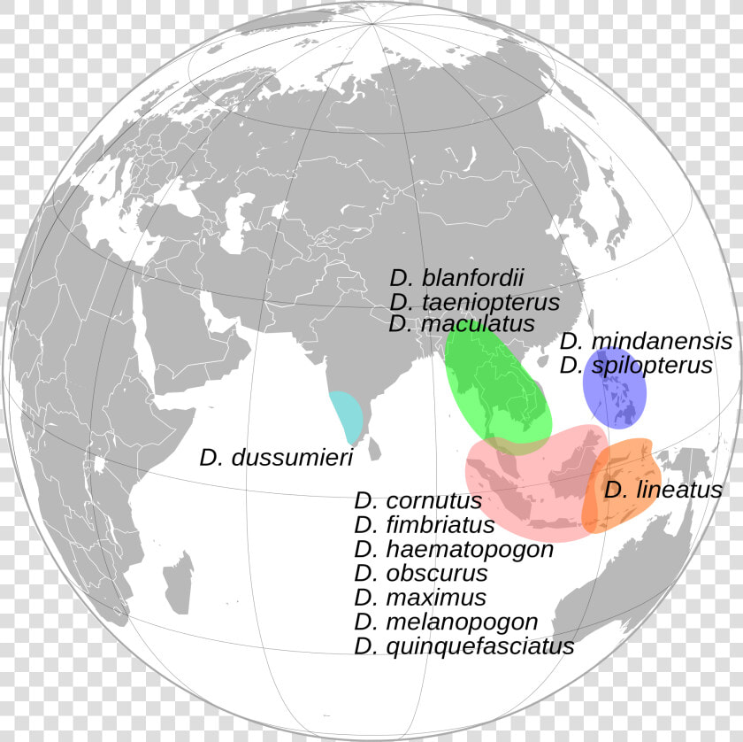 World Map India Globe   Png Download   Mount Everest On Globe  Transparent PngTransparent PNG