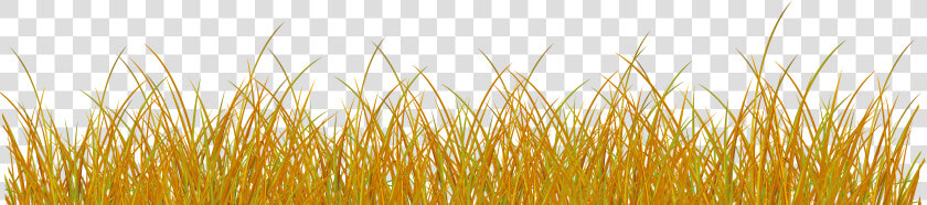 Autumn Grass Clipart Transparent Svg Black And White   Transparent Yellow Grass Png  Png DownloadTransparent PNG