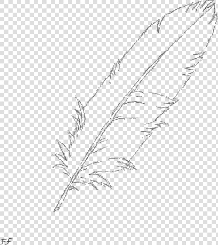 Transparent Feather Duster Png   Sketch  Png DownloadTransparent PNG