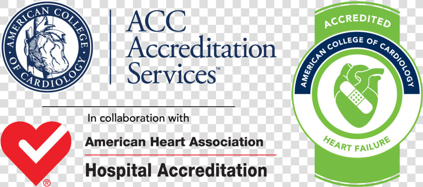 Tampa General Hospital Accredited By The American College   American College Of Cardiology  HD Png DownloadTransparent PNG