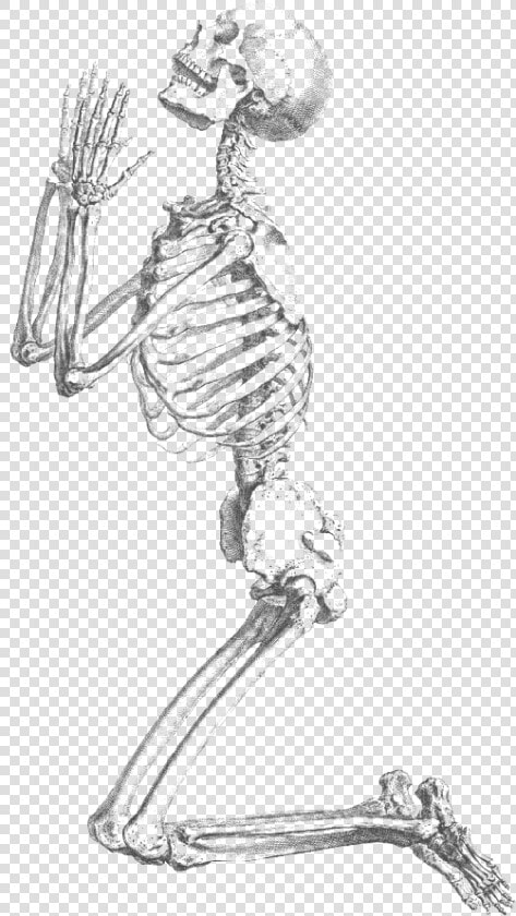 Praying Holiday Halloween Html   Praying Skeleton Png  Transparent PngTransparent PNG